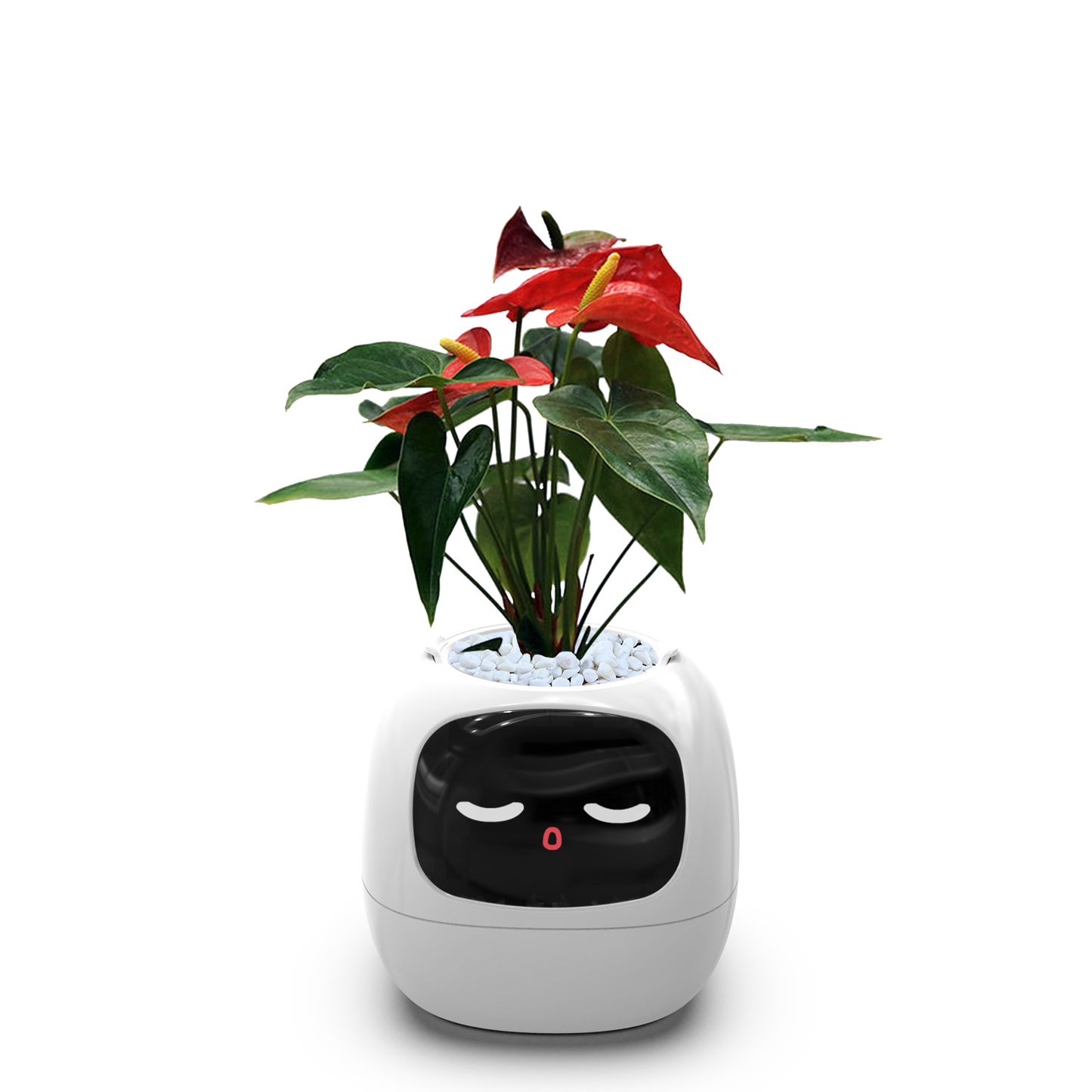 Ivy - AI Smart Plant Pot