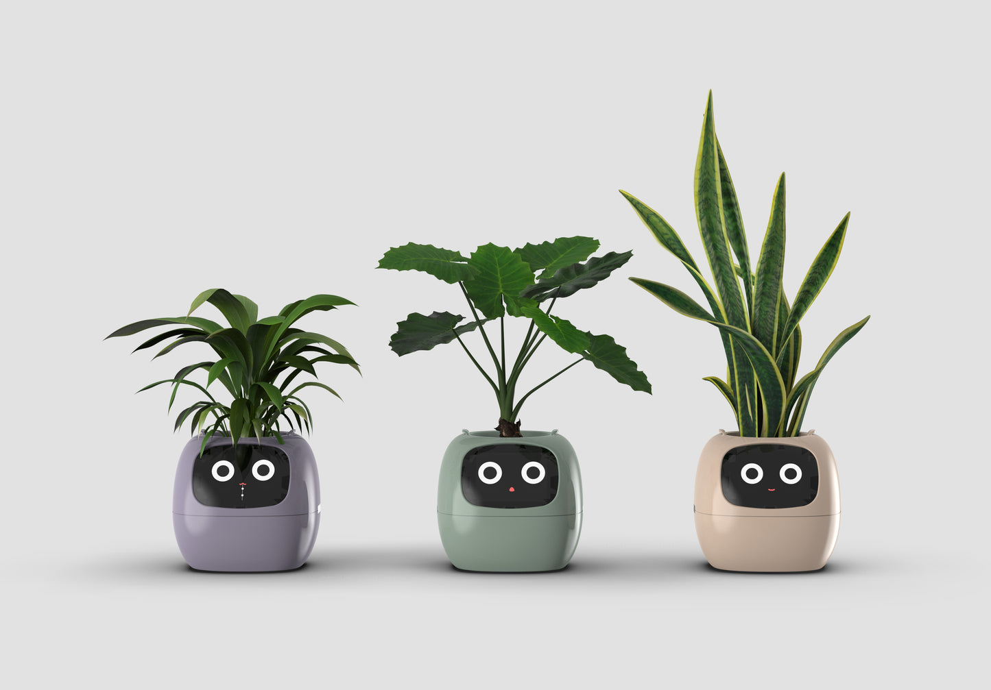 Ivy - AI Smart Plant Pot