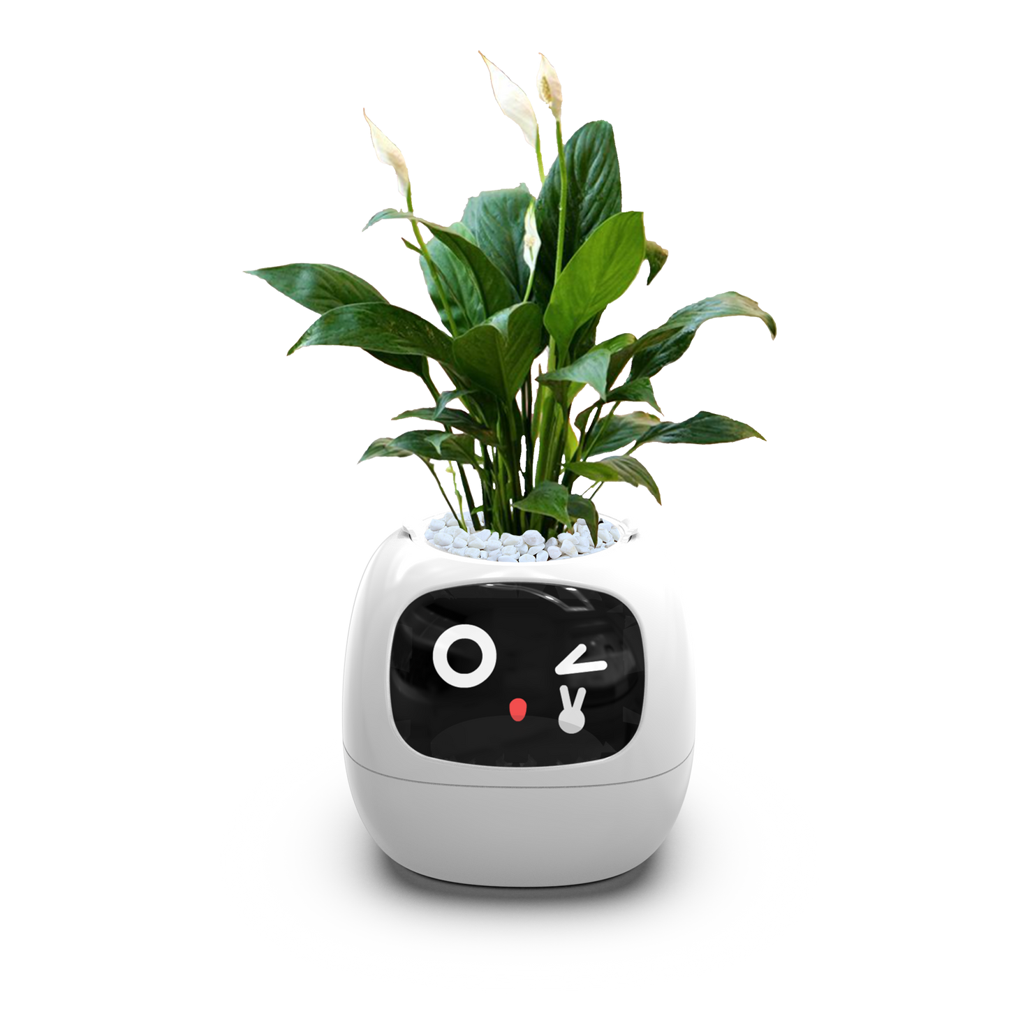 Ivy - AI Smart Plant Pot