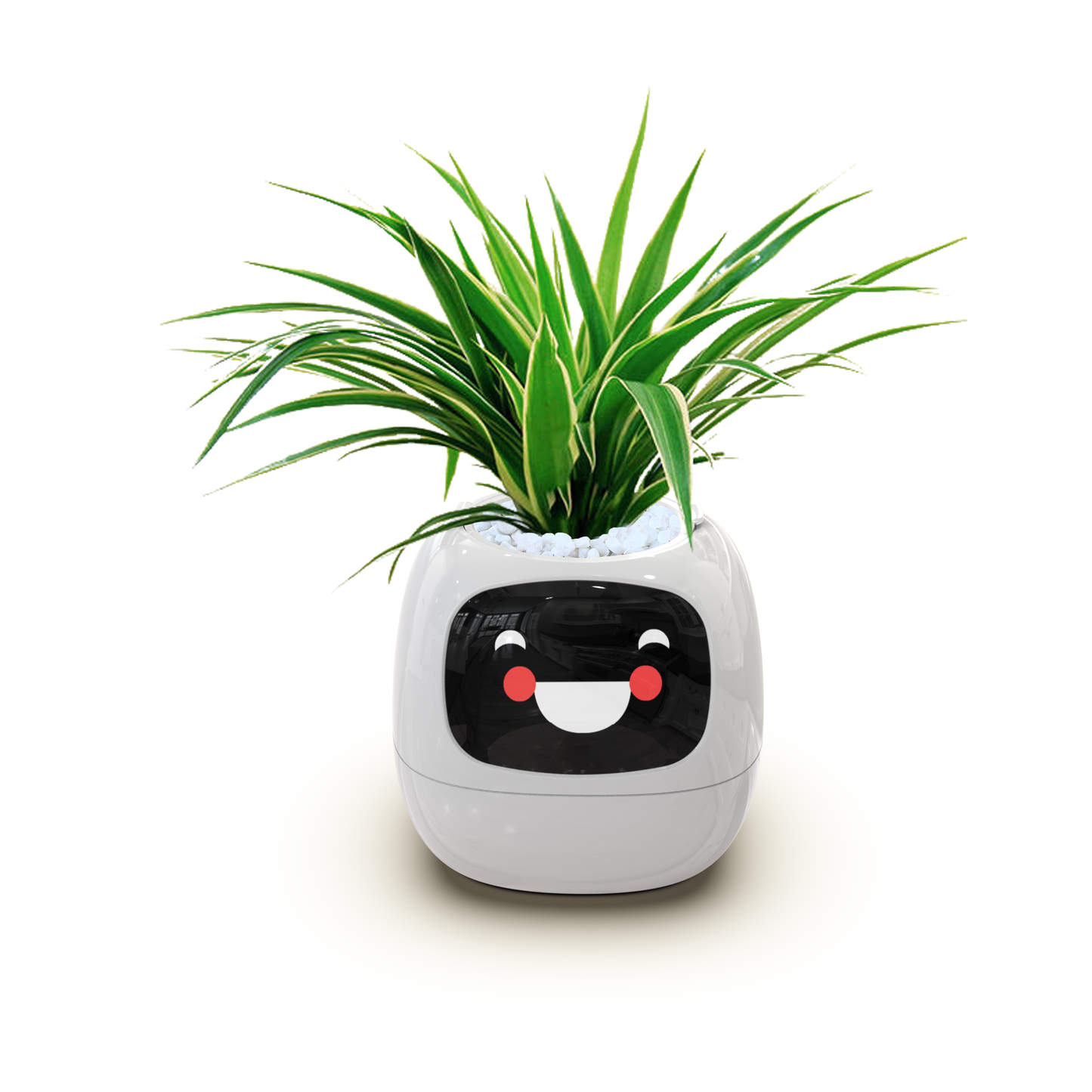 Ivy - AI Smart Plant Pot