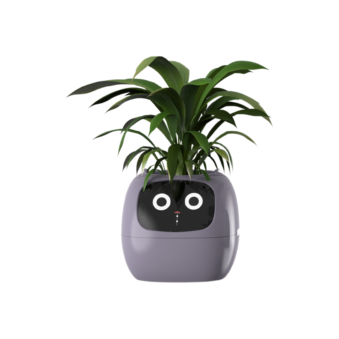 Ivy - AI Smart Plant Pot