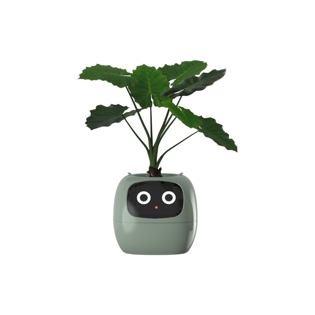 Ivy - AI Smart Plant Pot