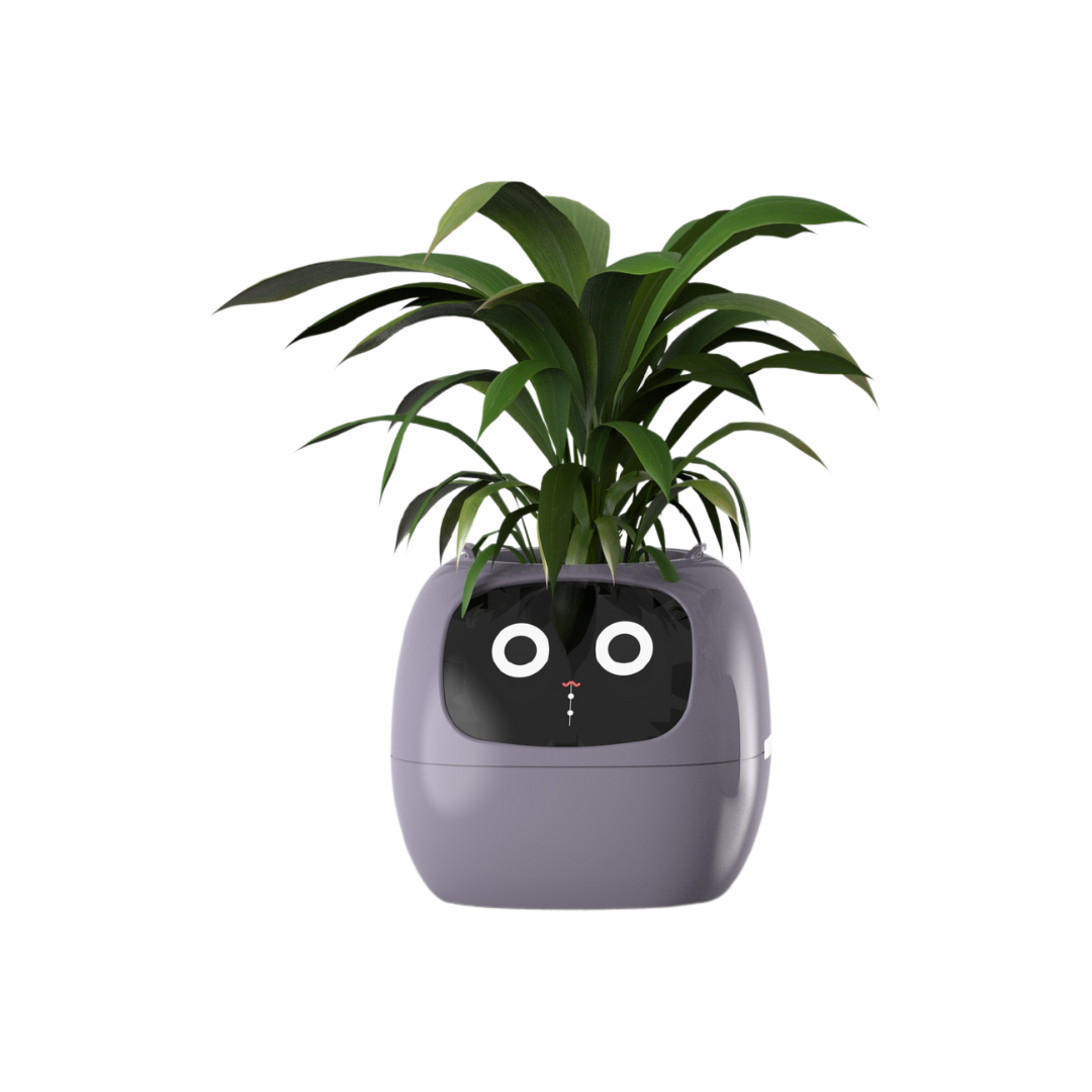 Ivy - AI Smart Plant Pot