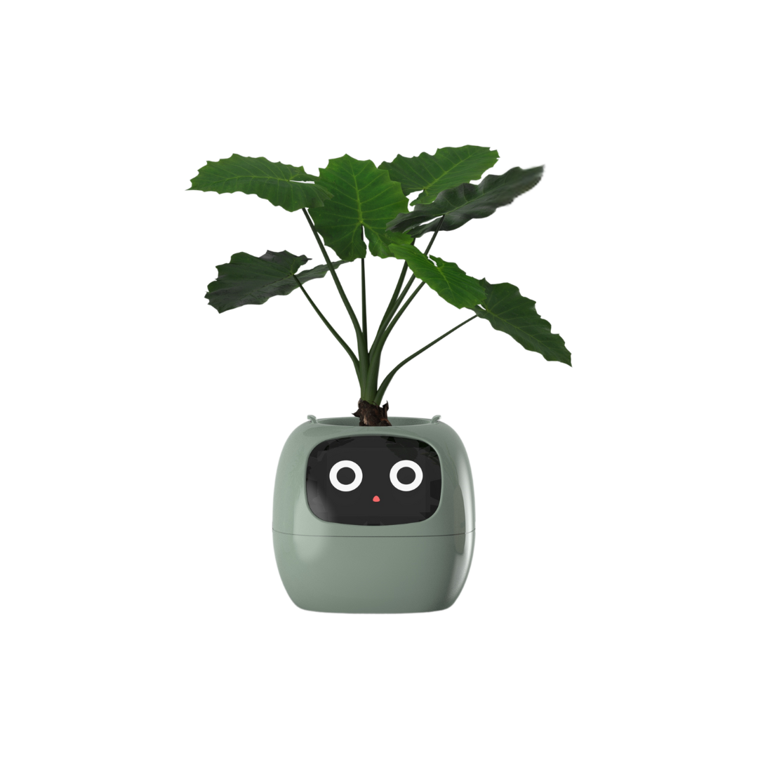 Ivy - AI Smart Plant Pot