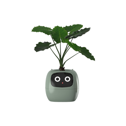 Ivy - AI Smart Plant Pot