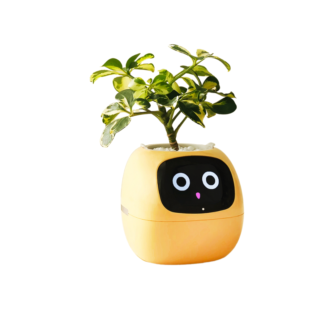 Ivy - AI Smart Plant Pot