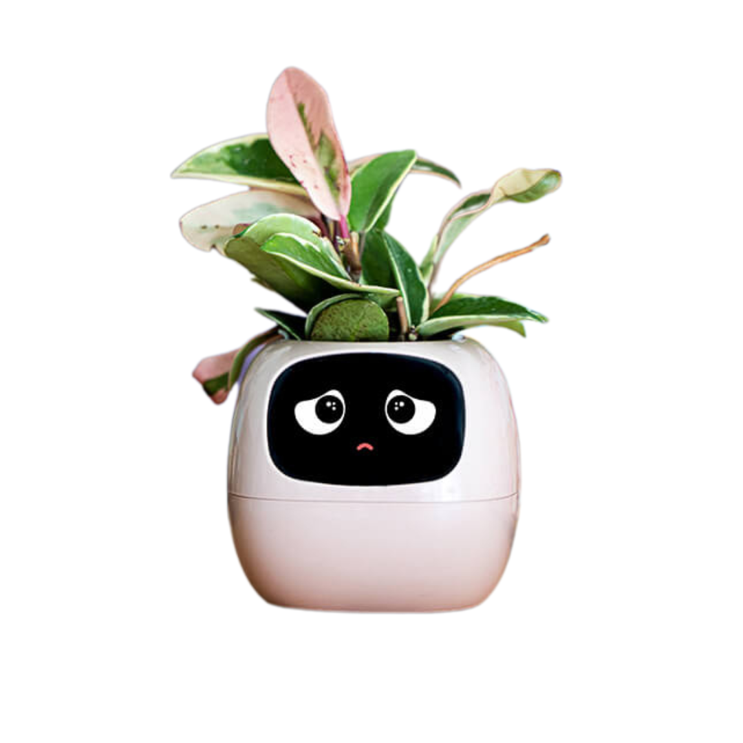 Ivy - AI Smart Plant Pot